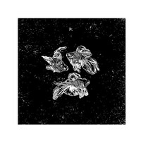 CRAZY VODKA TONIC「ヨルヲオヨグサカナ_ver.1」配信ジャケット