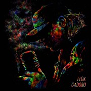 GADORO「1LDK」ジャケット