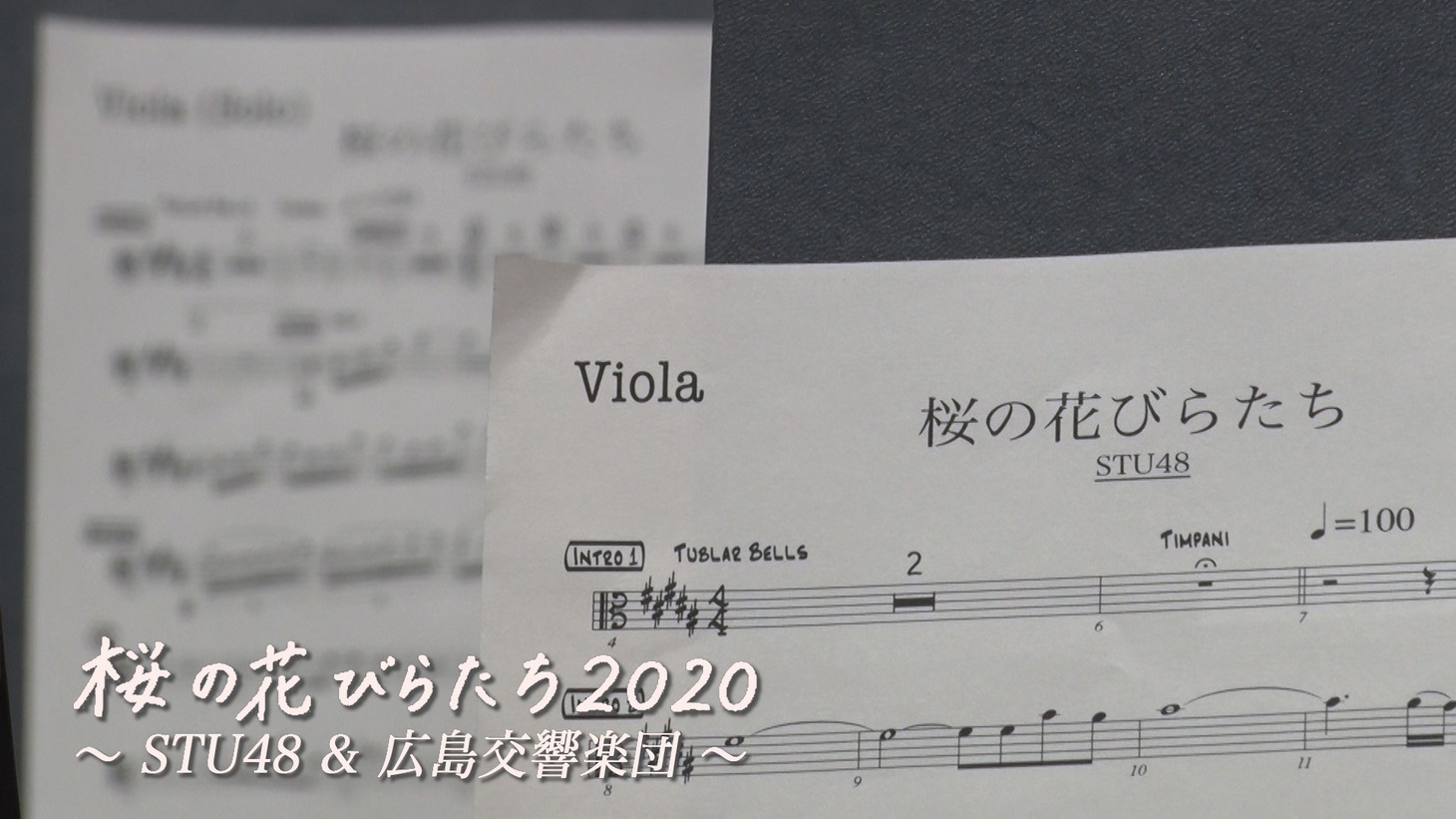 「桜の花びらたち 2020～STU48＆広島交響楽団～」のサムネイル。(c)STU