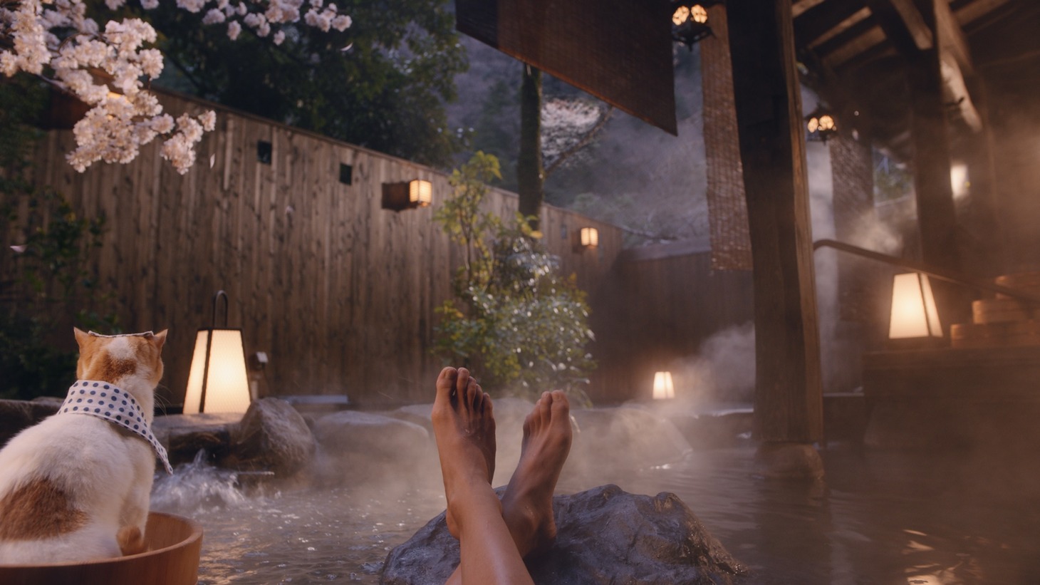 じゃらん2020春CM「今市隆二と旅しよう。」編より。