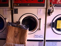 初めて購入した一眼レフカメラで撮影した写真。（写真提供：曽我美芽）