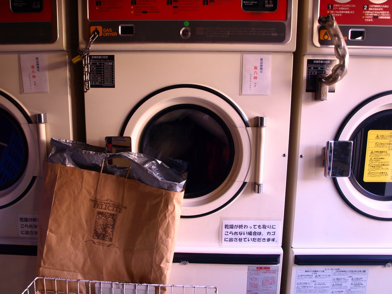 初めて購入した一眼レフカメラで撮影した写真。（写真提供：曽我美芽）