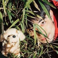 横沢俊一郎「絶対大丈夫」ジャケット