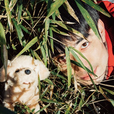 横沢俊一郎「絶対大丈夫」ジャケット