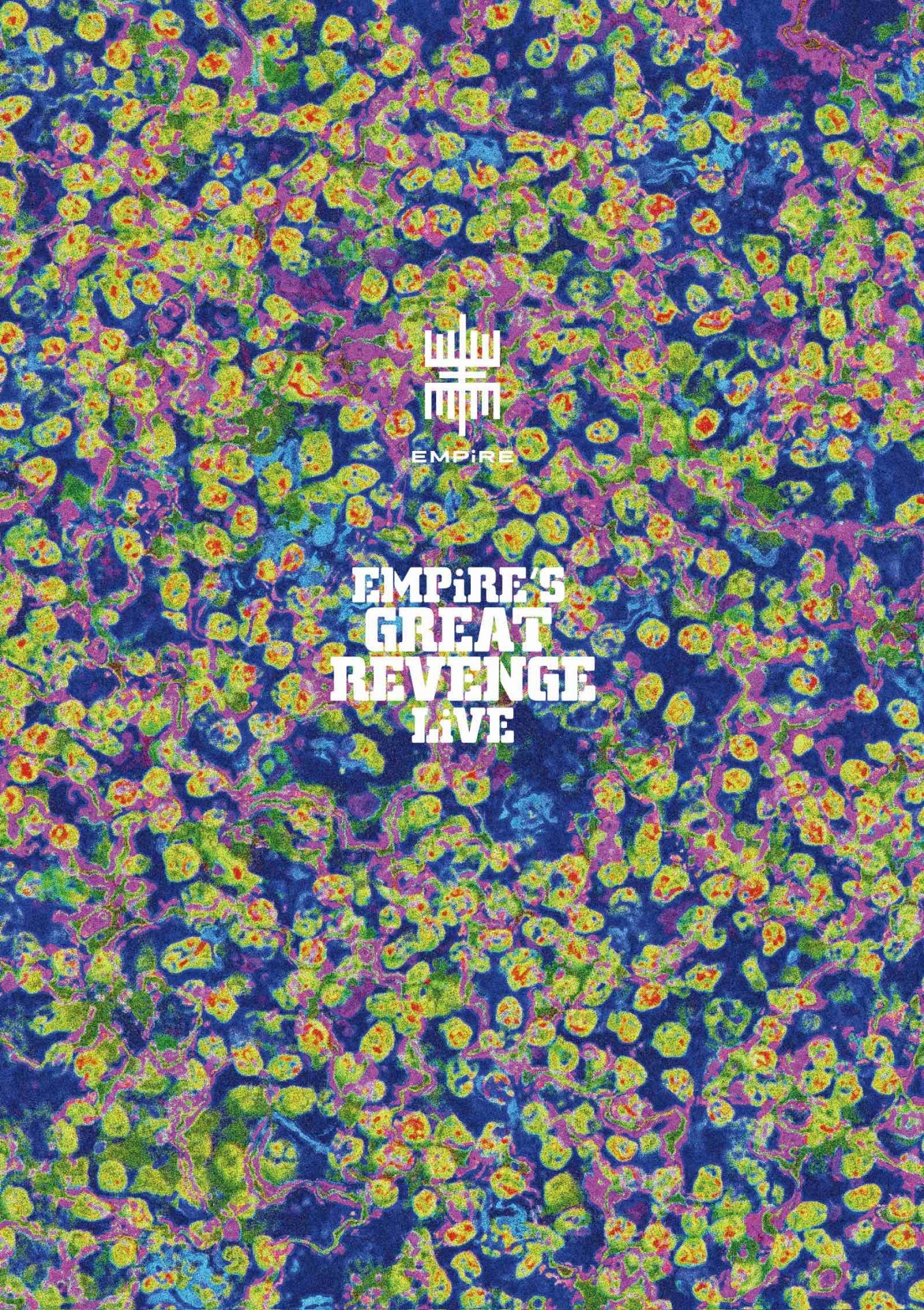 EMPiRE「EMPiRE'S GREAT REVENGE LiVE」DVD盤ジャケット