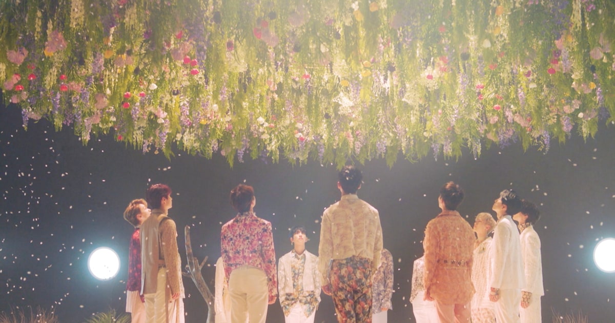 SEVENTEEN「舞い落ちる花びら（Fallin