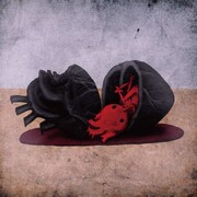 MUCC「惡」ファンクラブ会員限定盤ジャケット