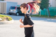 ナオ・オブ・ナオ（豆柴の大群）