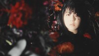Aimer「春はゆく」MVのワンシーン。