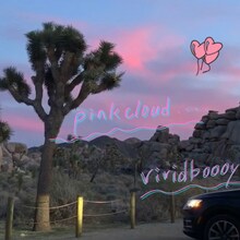 vividboooy「pinkcloud」配信ジャケット