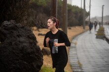 ナオ・オブ・ナオ（豆柴の大群）