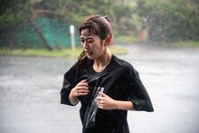 ナオ・オブ・ナオ（豆柴の大群）