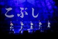 「こぶしファクトリー ライブ 2020 ～The Final Ring!～」の様子。（写真提供：アップフロントグループ）