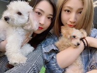 ジョナを抱く鈴木友梨耶と、ゾロを抱く鈴木真梨耶。