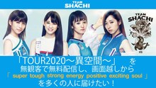 TEAM SHACHIクラウドファンディングビジュアル