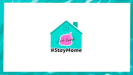 Little Parade「ユニコーンのツノ」「群雨」スタジオライブ映像より。