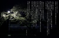 ミト（B）によるコメント。