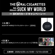 BKW!!カードキャンペーン概要