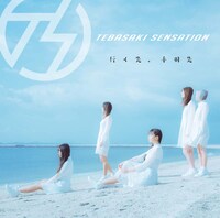 手羽先センセーション「行く先、手羽先」味噌盤ジャケット