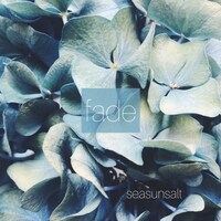 seasunsalt「fade」ジャケット
