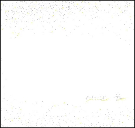 Polaris「光」アナログ盤ジャケット