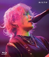 カノエラナ「カノエラナ LIVE『天歌統一 冬の陣』令和元年十二月四日」ジャケット