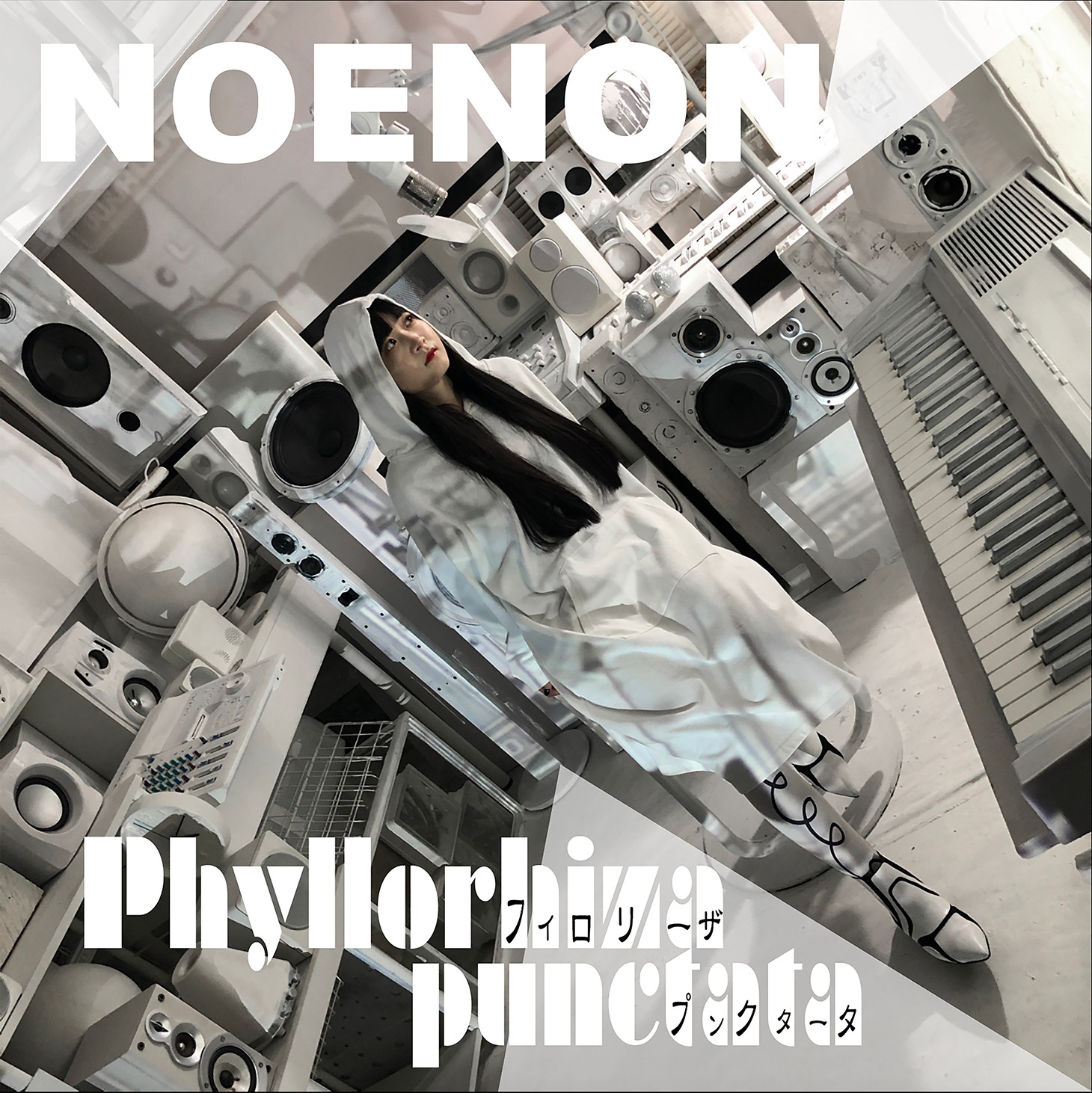 NOENON「フィロリーザプンクタータ -Phyllorhiza punctata」配信ジャケット
