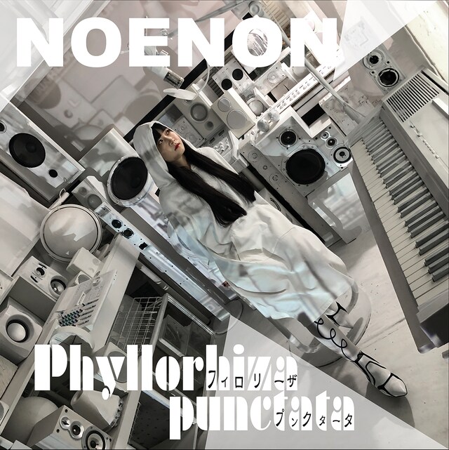 NOENON「フィロリーザプンクタータ -Phyllorhiza punctata」配信ジャケット