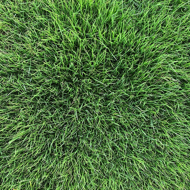 徳永憲「ずっと君といたかった」MVに父が撮影した50年前の映像