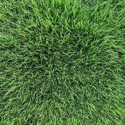 徳永憲「牙に見えたよ、君のストロー」ジャケット