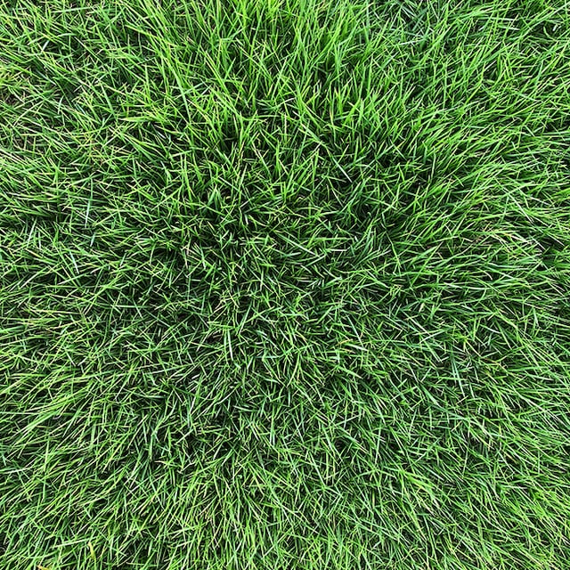 徳永憲「牙に見えたよ、君のストロー」ジャケット