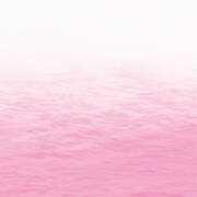 RAY「Pink」ジャケット