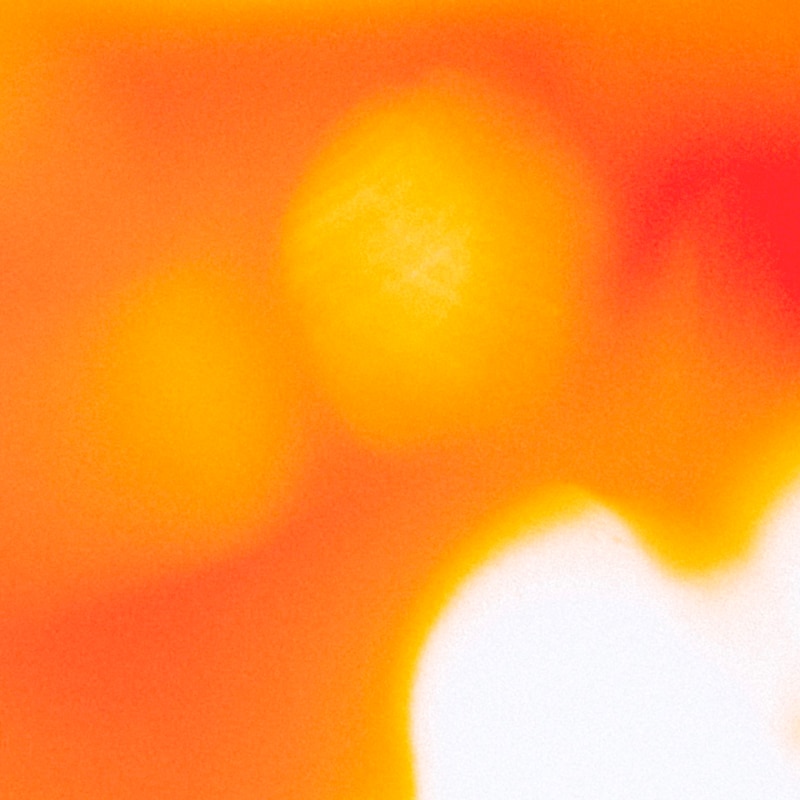 象眠舎「Sunset blvd. feat. Sarah Furukawa」配信ジャケット