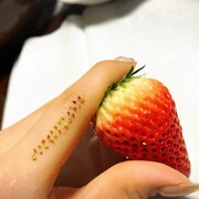 いちごの粒を数える吉川友。