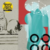 Red Tubby and Calico「RTCGFM」ジャケット