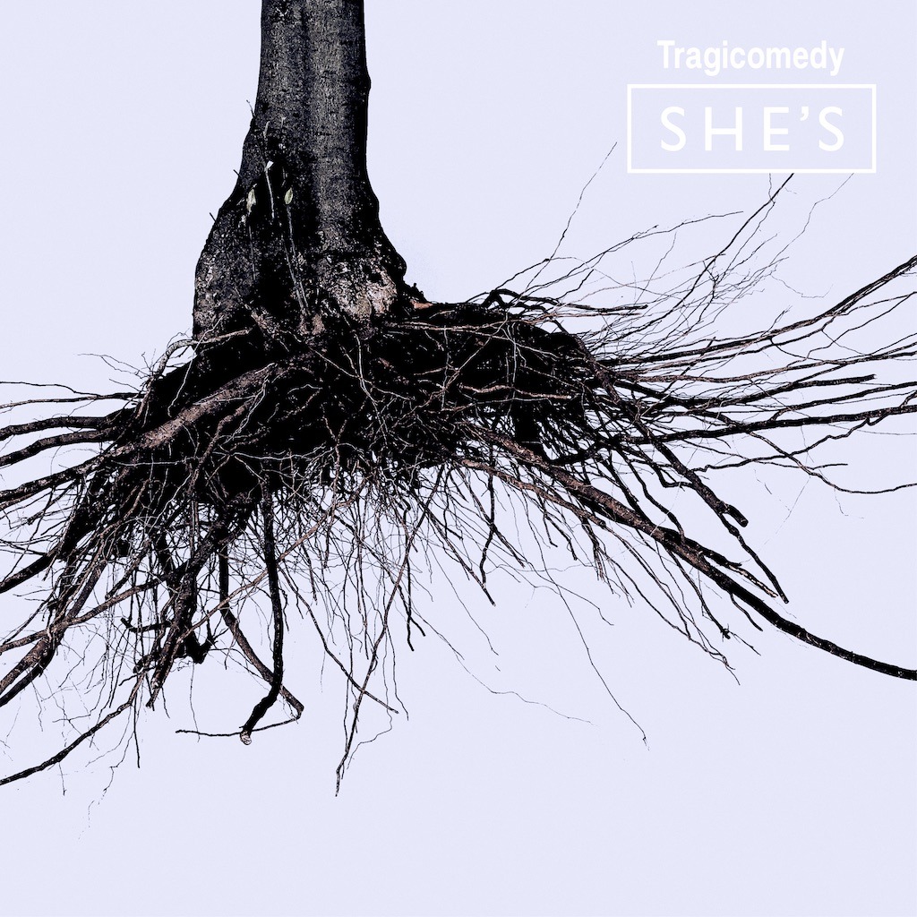 SHE'S「Tragicomedy」完全数量限定盤ジャケット