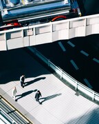 Ryu Matsuyama、新曲「Go Through, Grow Through」リリックビデオ公開