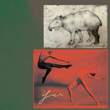 jan and naomi「YES」ジャケット