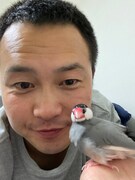 KMCと文鳥の寅。