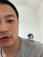 KMCの肩に乗る寅。