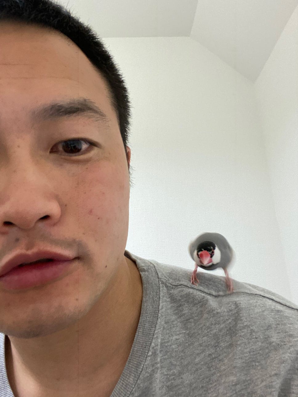 KMCの肩に乗る寅。