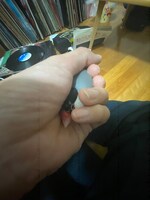 KMCに優しく握られる寅。