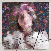 ビッケブランカ「ミラージュ」ジャケット