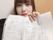 カエデフェニックス(豆柴の大群)