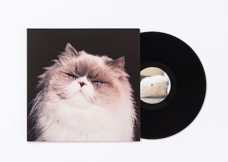 カネコアヤノ「燦々」のジャケットと盤面。