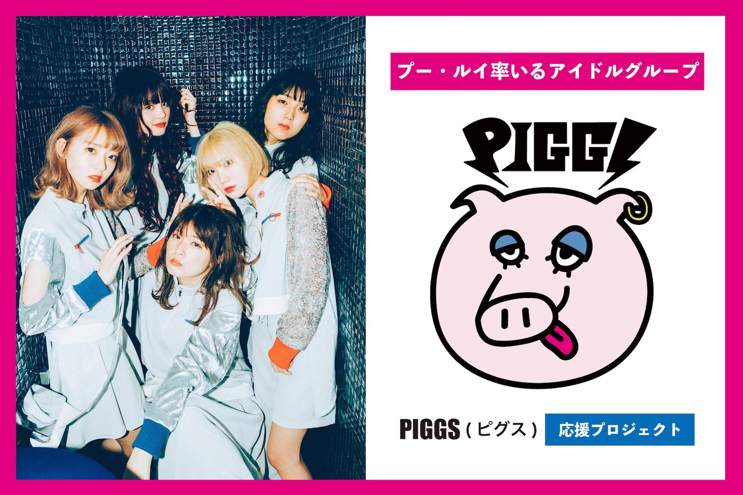 PIGGSクラウドファンディング告知ビジュアル