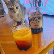 上坂すみれの愛猫メロウくんとルジェのカシスリキュール。