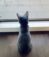 楽による、Rのベストショット。