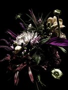 world's end girlfriend「Close to you」タイプA付属の花束。