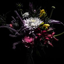 world's end girlfriend「Close to you」ジャケット写真